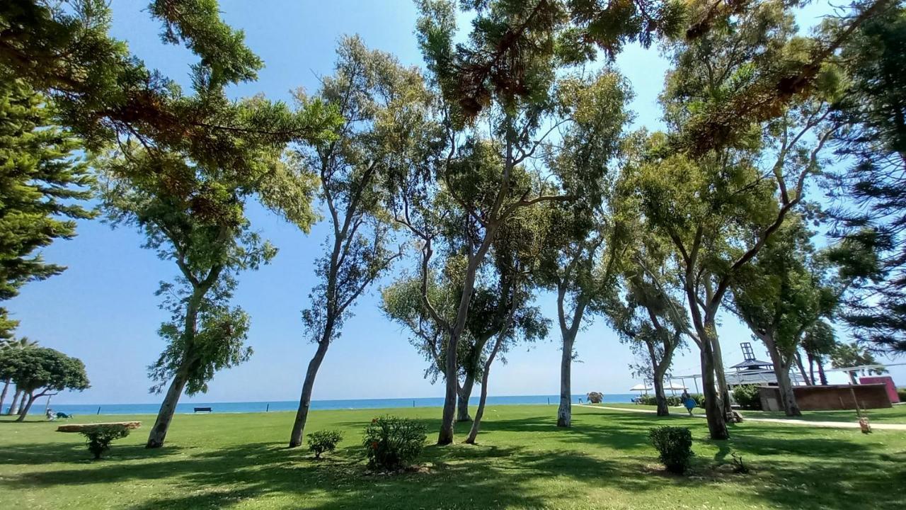 La Brisa Del Mar *